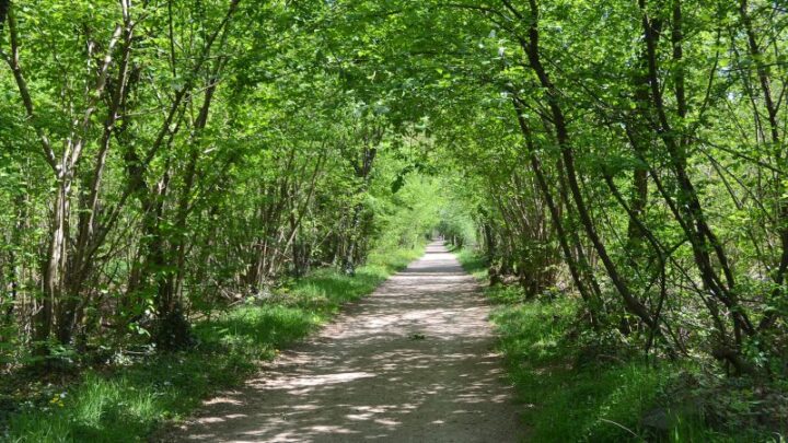 Piemonte, trekking di primavera sul Ticino con