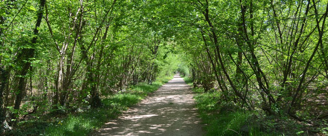 Piemonte, trekking di primavera sul Ticino con